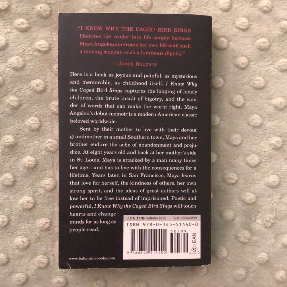 Book - Picture 2 of 3